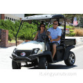 Carrello da golf elettrico Electric Electric UTV Electric 5KW